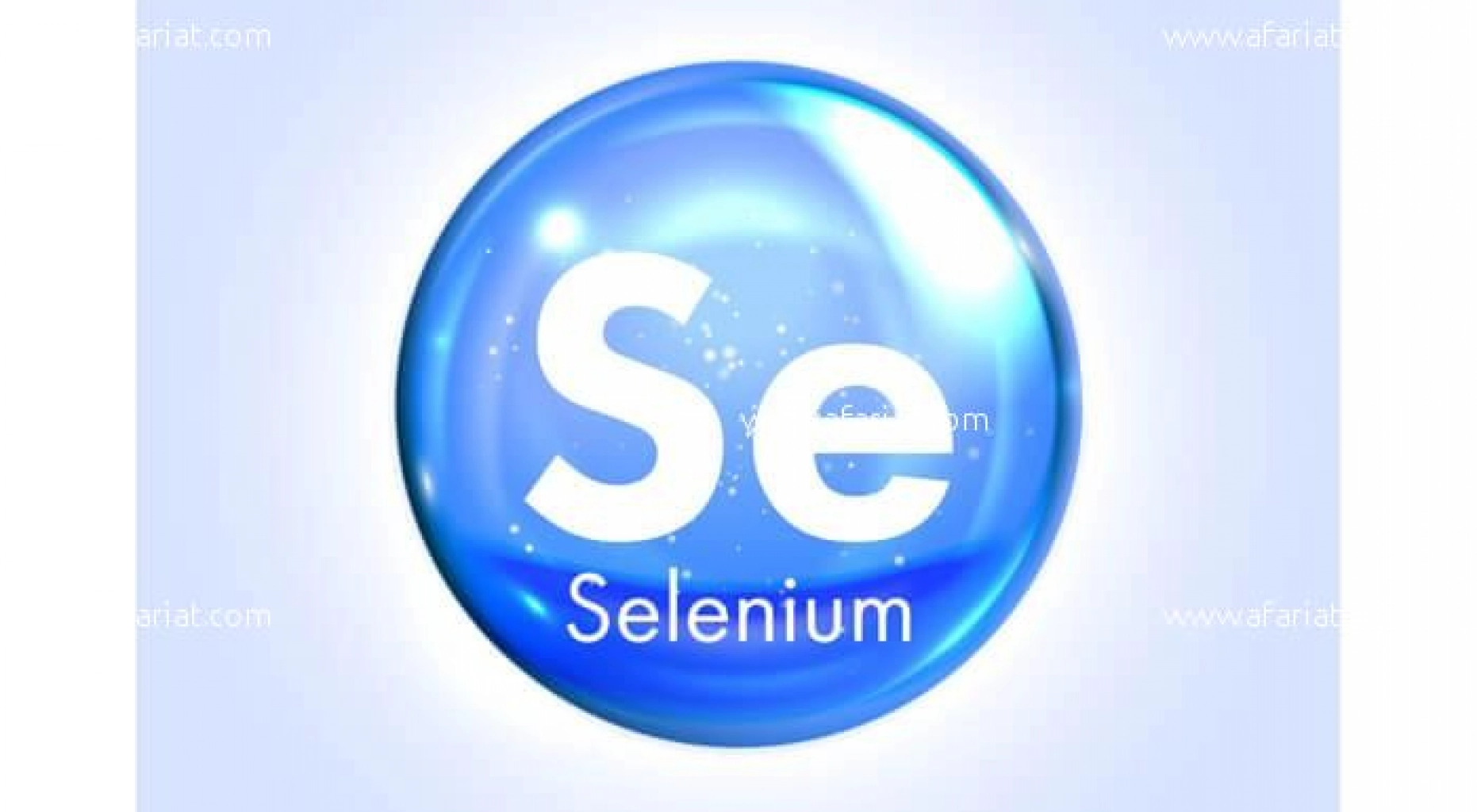 Formation Automatisation Selenium