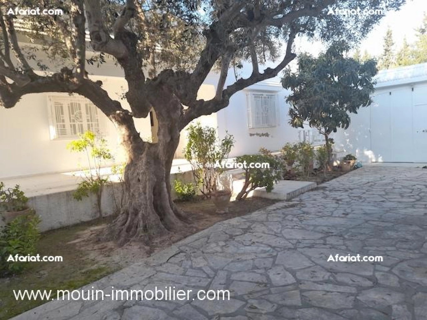 Maison Des Arcs AL1937 Hammamet