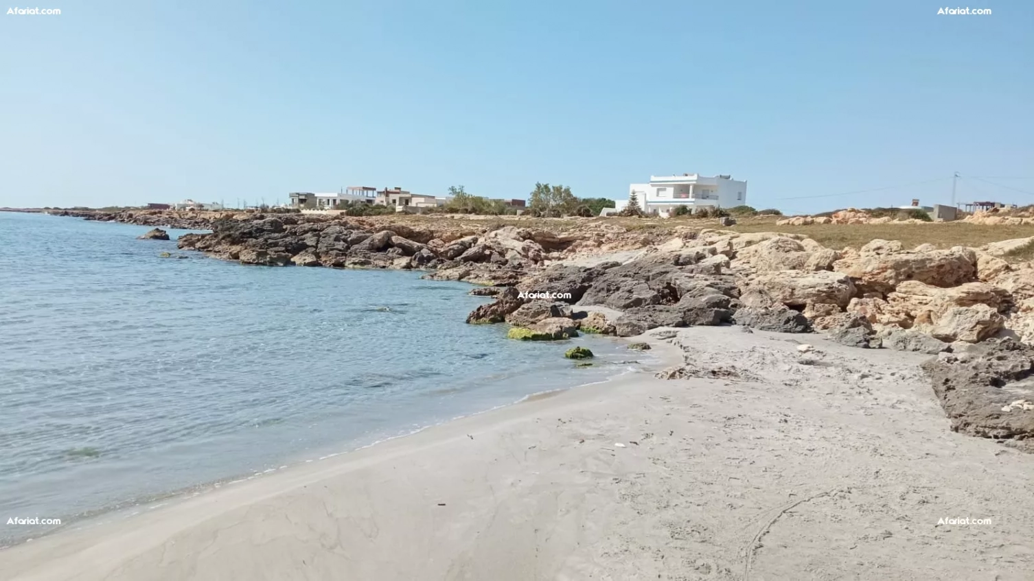 terrain pied dans l'eau à dar Allouche kélibia