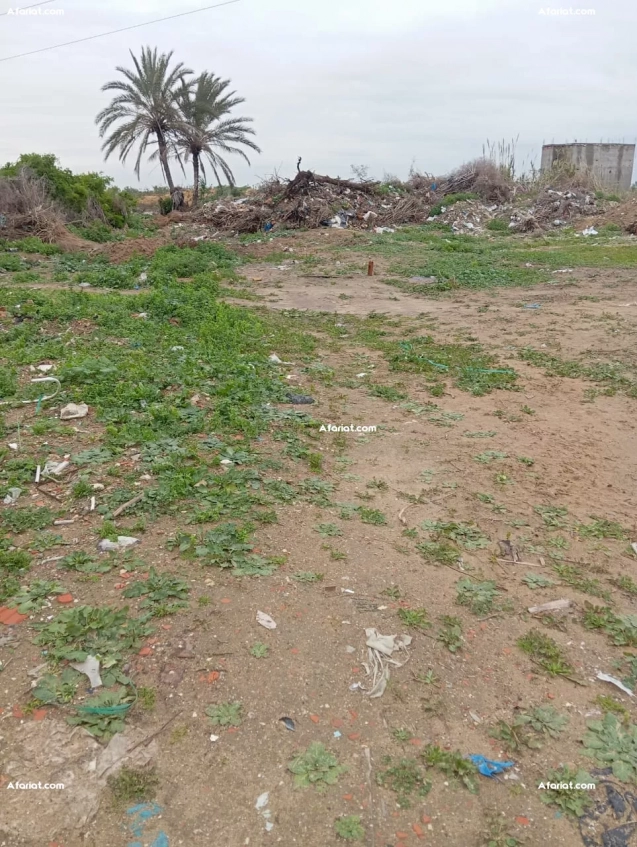 346 m2 à vendre à la soukra