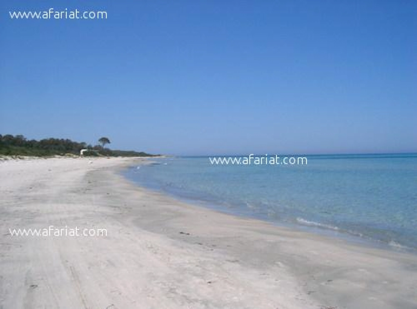 Terrain de 10000 m2 près d’elhaouaria