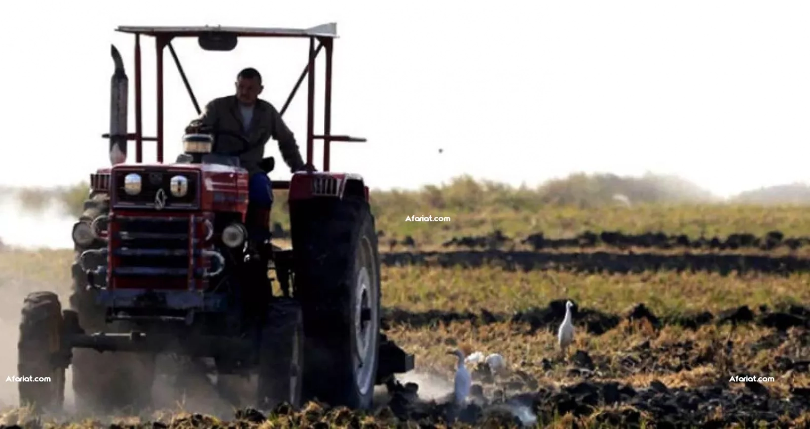 قطاع الفلاحة و تربية الماشية
