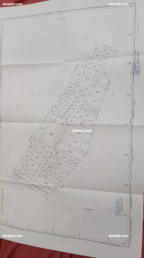 Des terrains à vendre au Kairouan