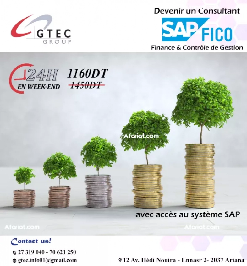 Formation SAP FICO ( SAP Finance et SAP Controlling )