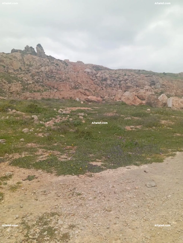 À Vendre – Terrain de 3,5 Hectares avec Gisement de Marbre