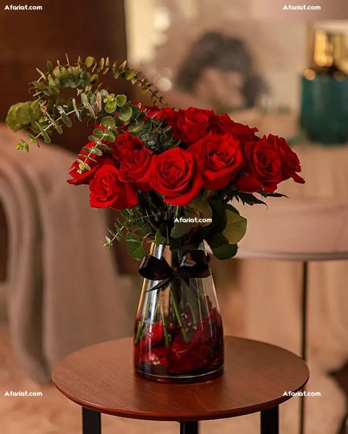 splus2 nabeul pres steg