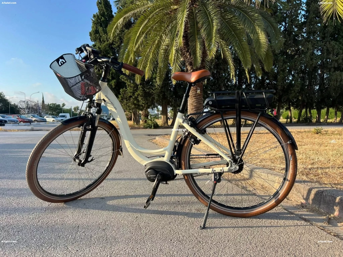 vélo électrique riese & müller swing