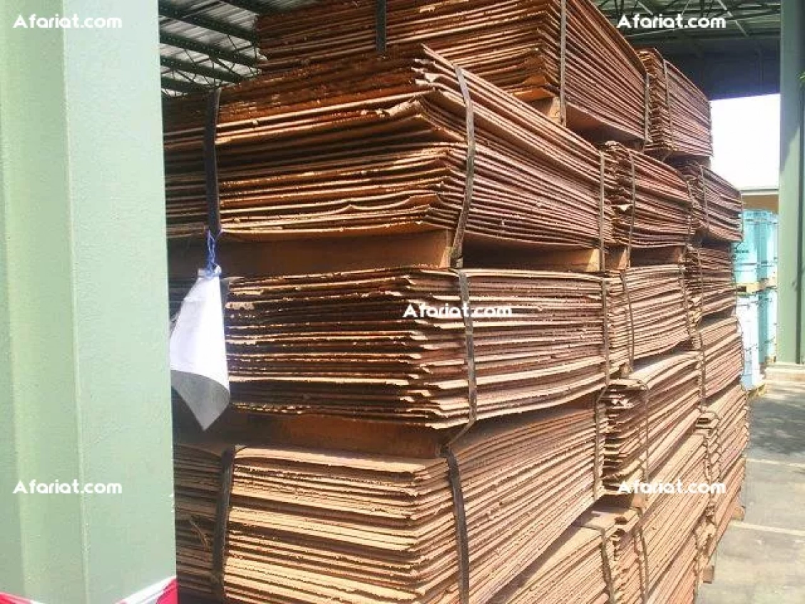 Câbles de cuivre dénudés et cathodes