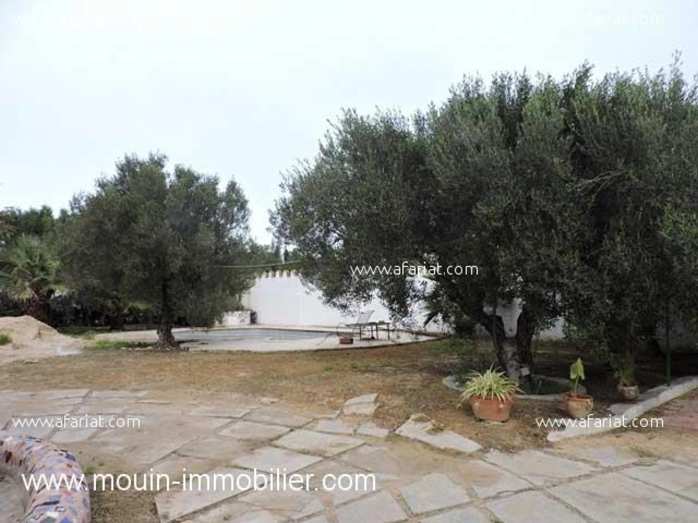 VILLA CITRUS Hammamet Sud AV1160