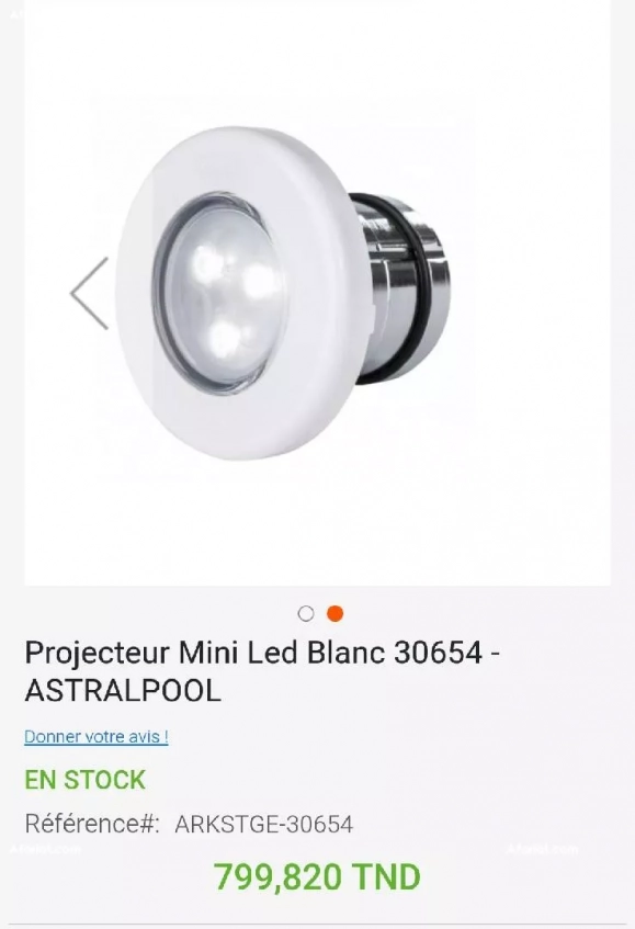projecteur mini astral pool