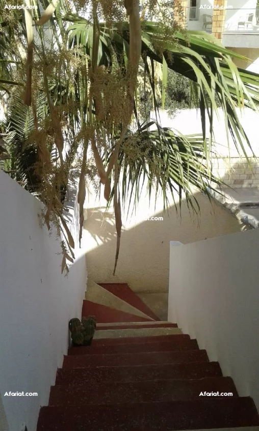 Très joli S+1 avec vue sur mer. Falaise Monastir.