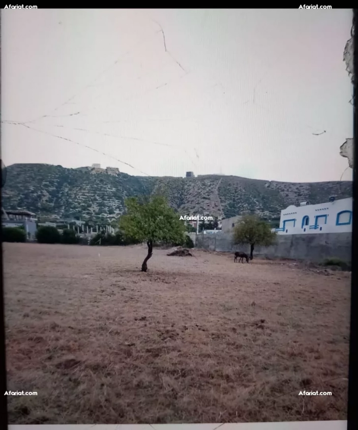 Terrain 1945m² à Cap Zbib 7034 - Proche mer - 280dt/m²