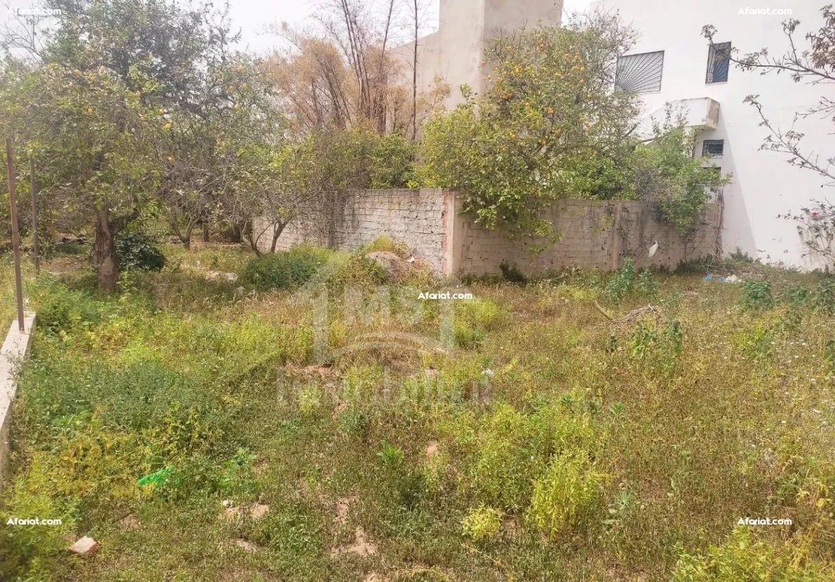 à vendre un terrain 278m² à HAMMAMET
