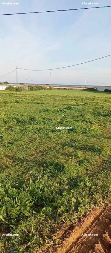 TERRAIN A VENDRE -TAZARKA-