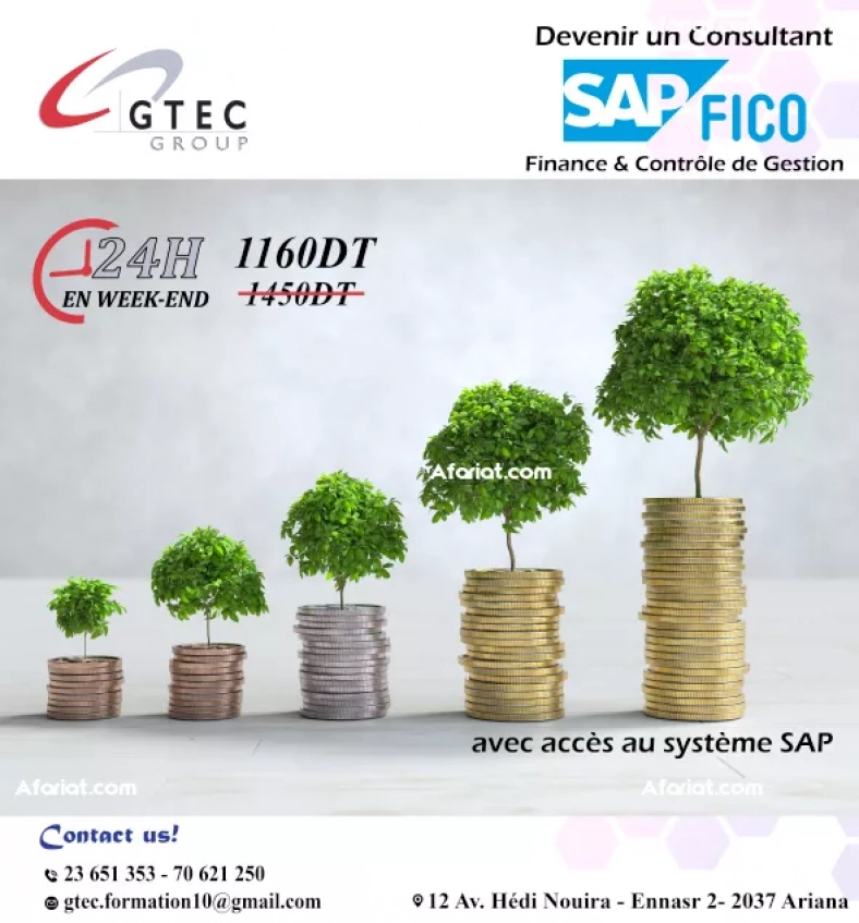 Promo 20% Formation SAP FICO