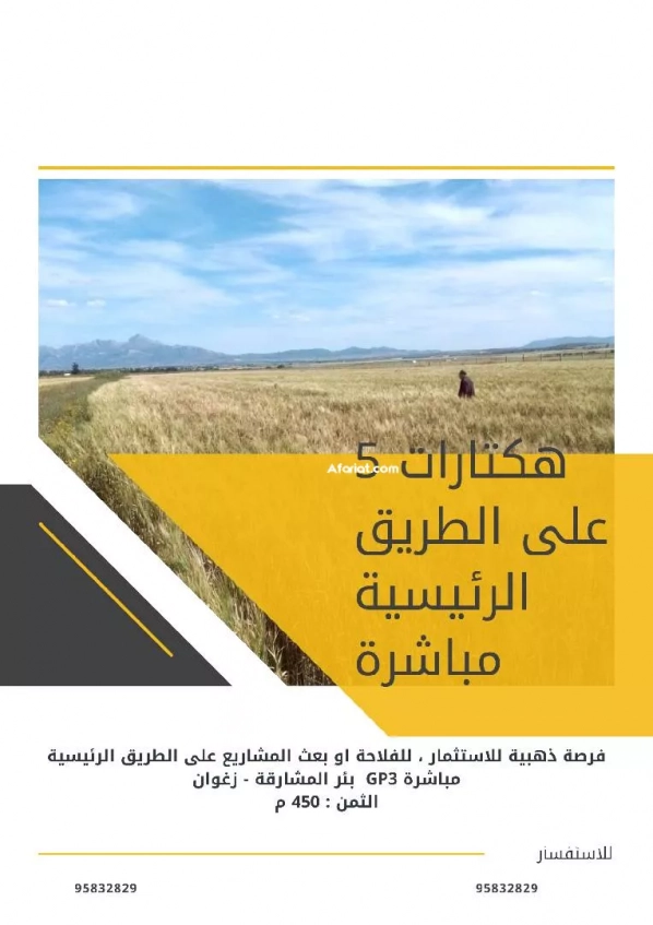 5 Hectares Bir Mchergua