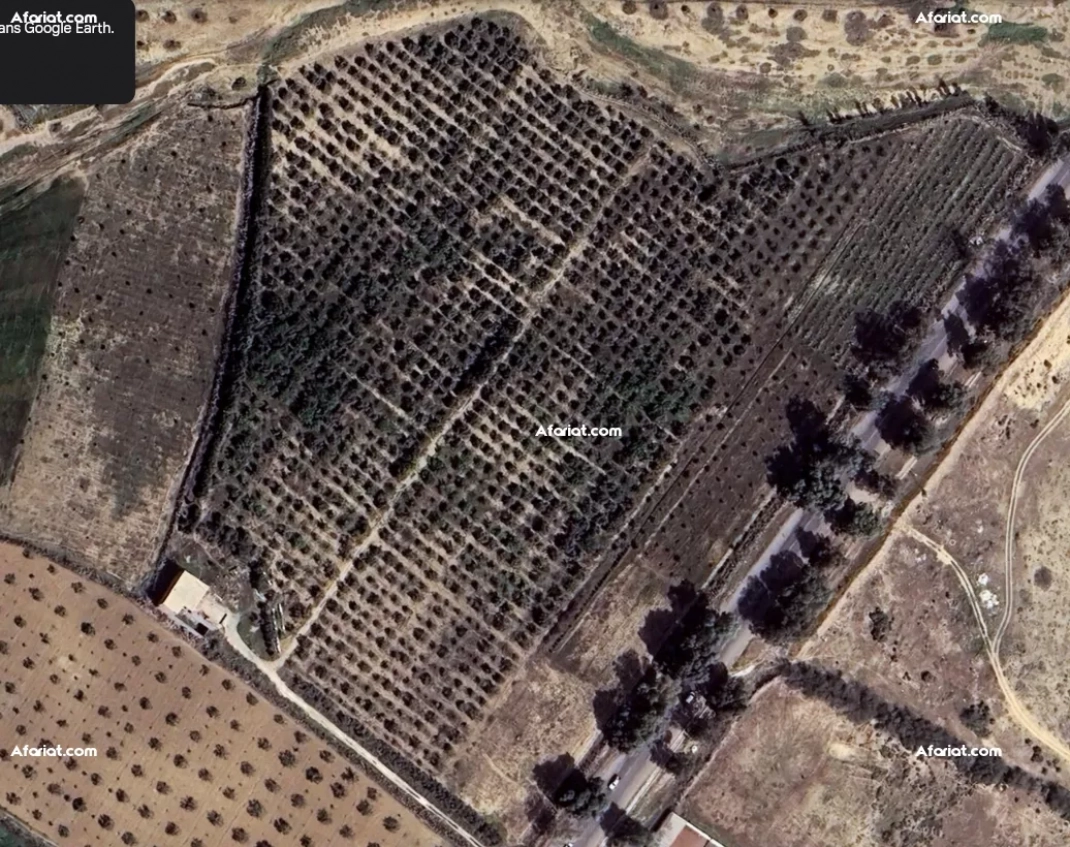 À Vendre – Ferme Agricole à Rakkada, Kairouan