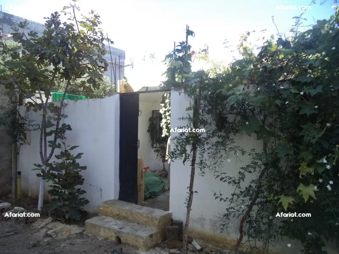av maison de 105md a hammamet
