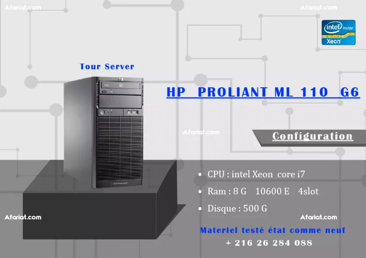 HP  PROLIANT ML 110  G6