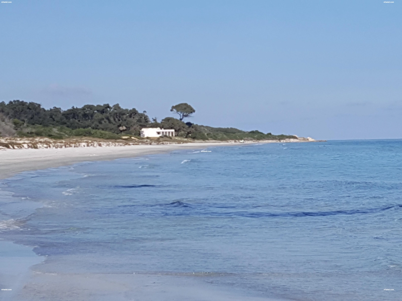 opportunité d'un terrain paradisiaque