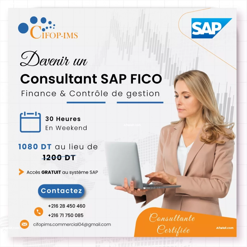 Formation SAP Fico: Finance et Contrôle de Gestion