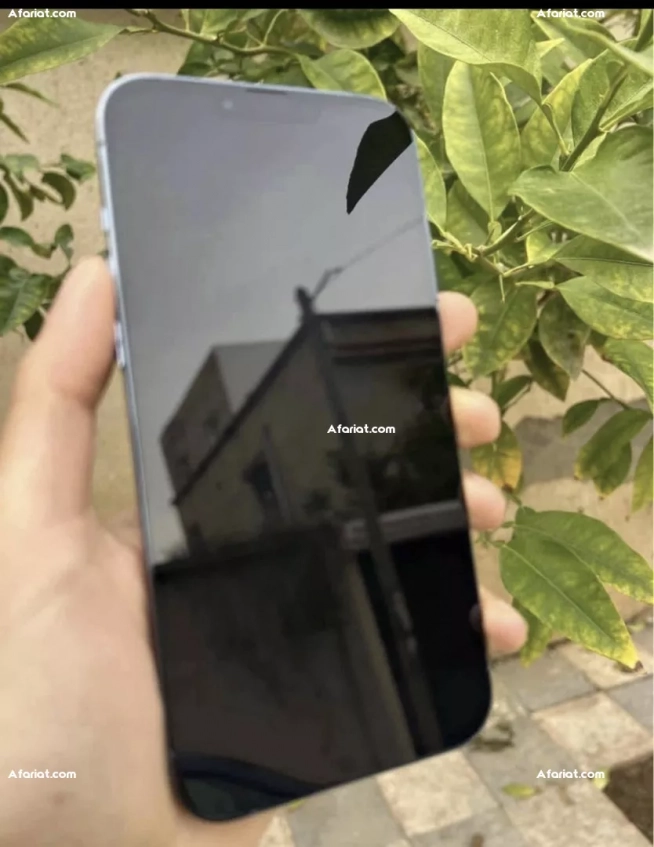 iPhone 13 Pro Max Bleu