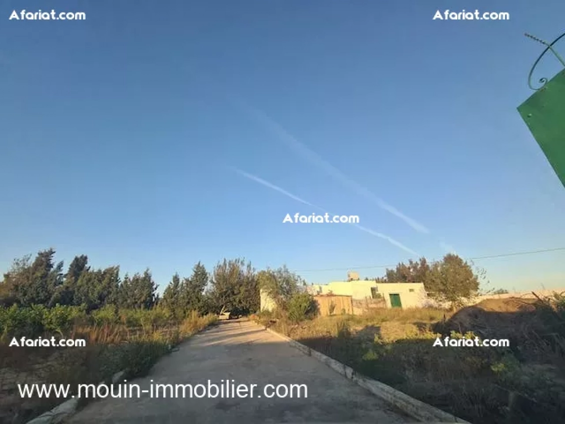 FERME ASIL Beni Ouiel Hammamet T1206