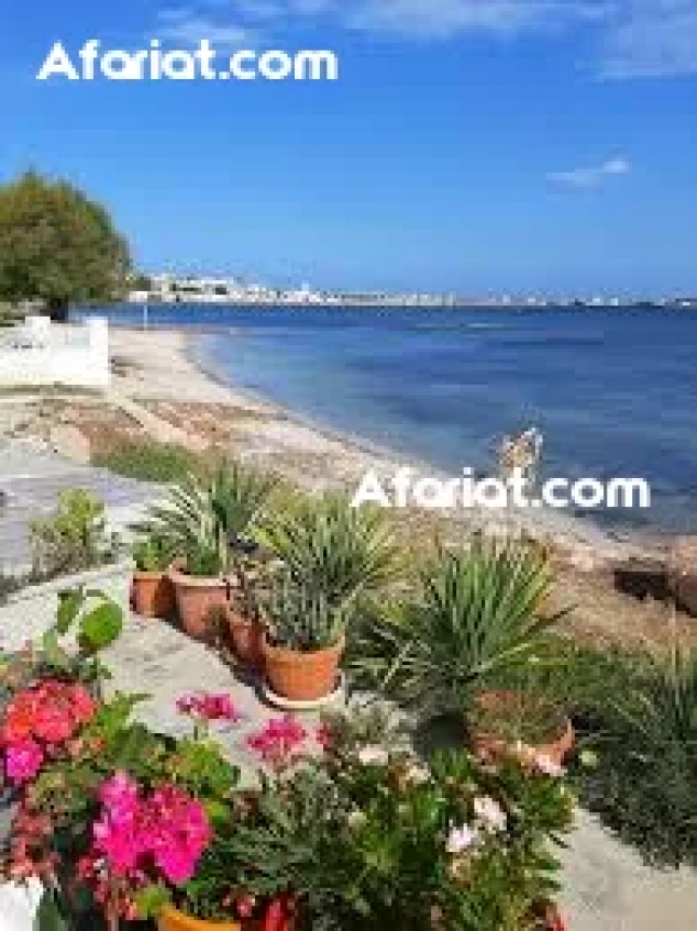 Un studio très proche du la plage (dar Allouche kélibia)