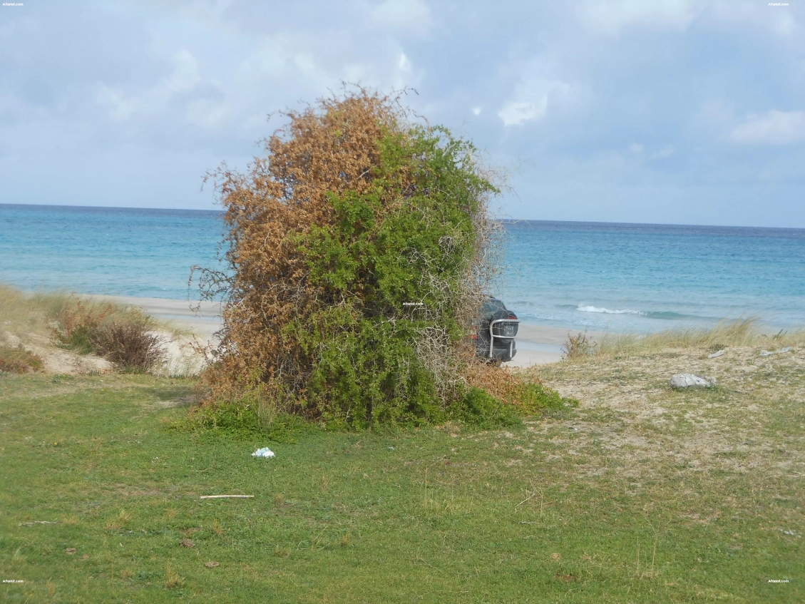 Terrain pour investis au cap bon