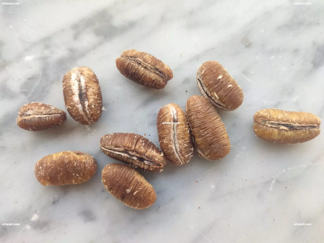 Recherche d'un fournisseur local