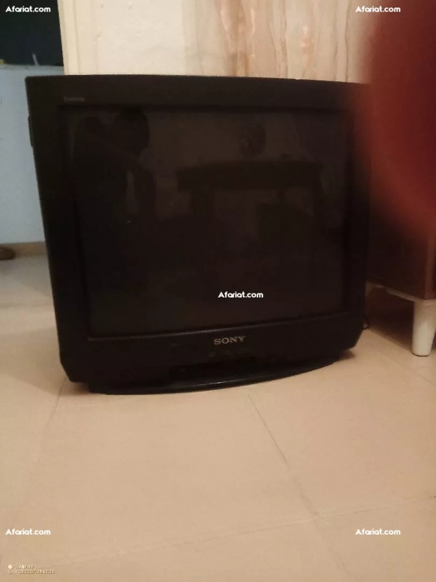 télévision