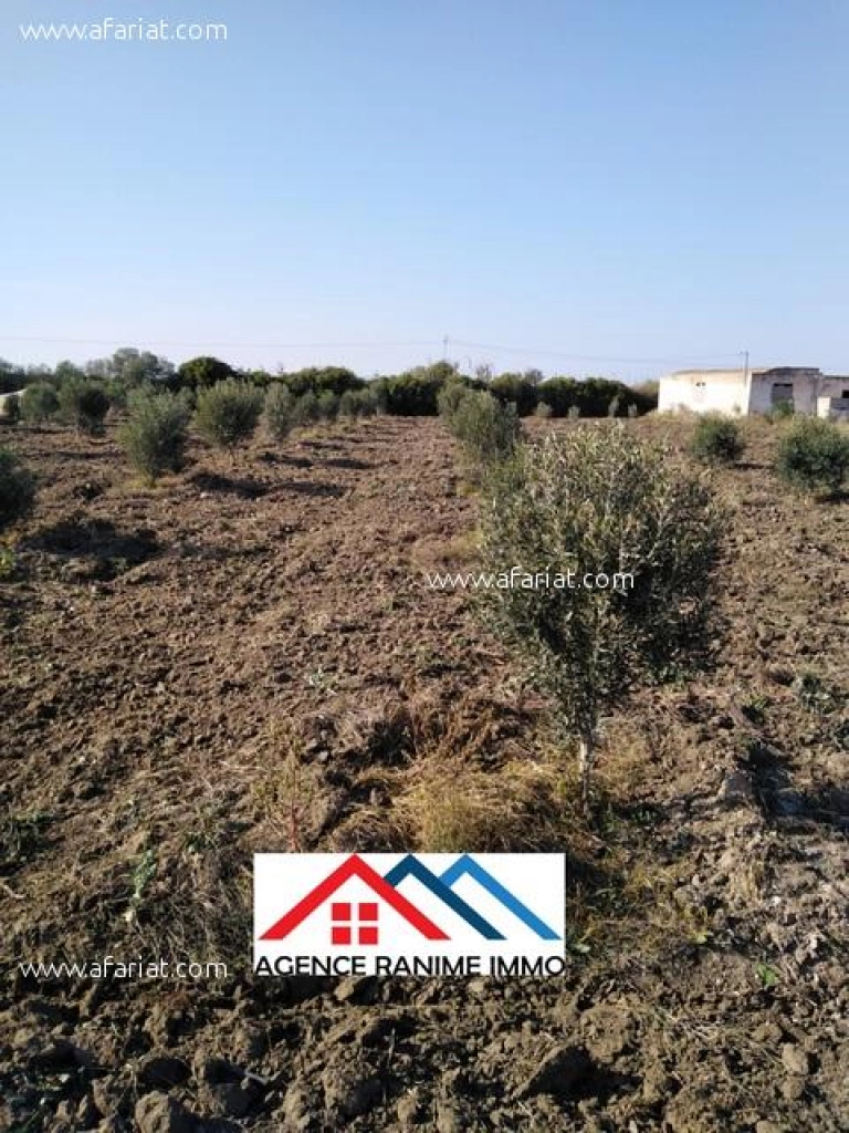 Petite ferme de 1 hect+2000m2 a el haouaria cap bon