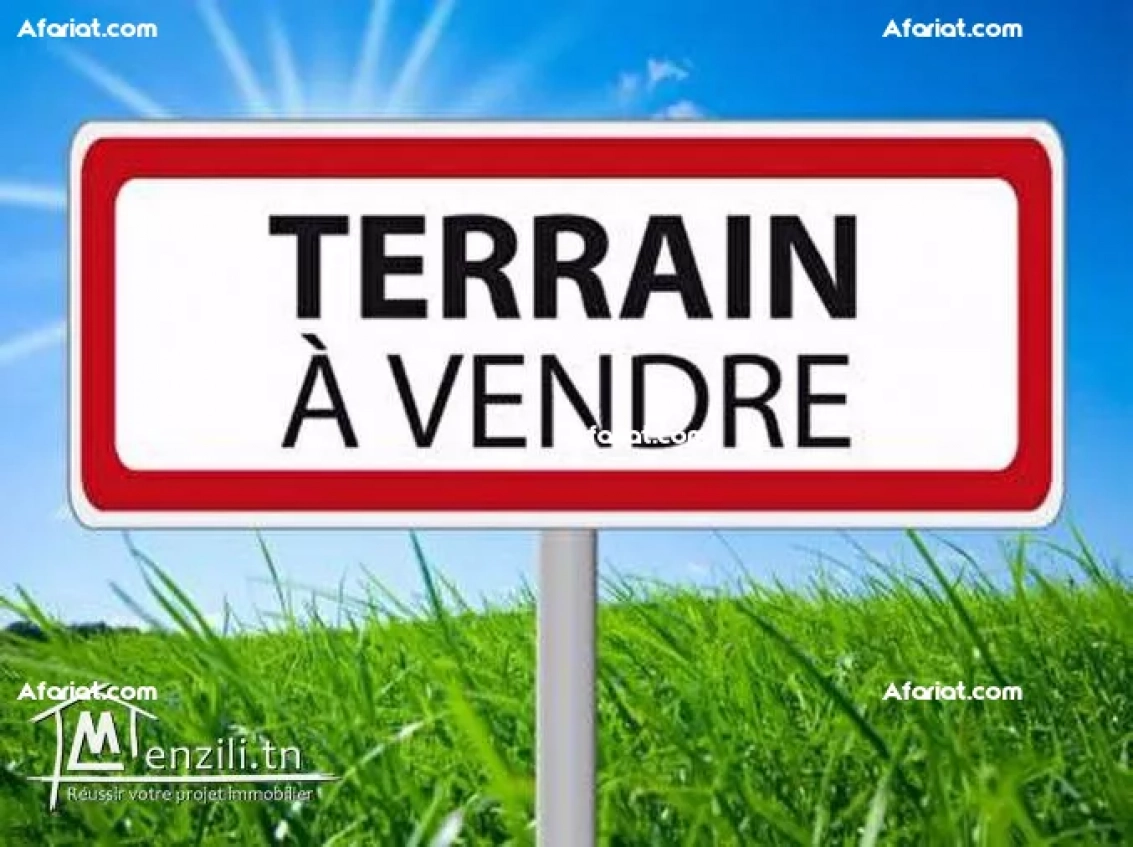 Vente de Terrain