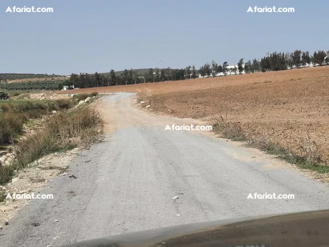 des lots de terrains  Agricoles de 1000 m2