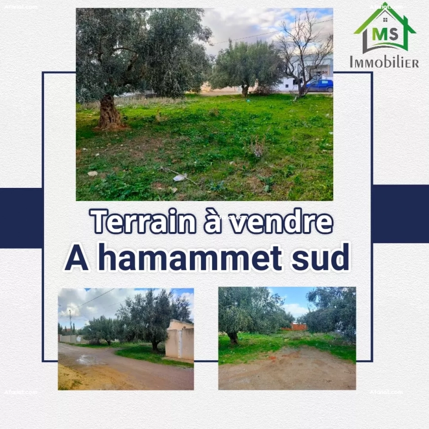 à vendre un terrain à HAMMAMET SUD