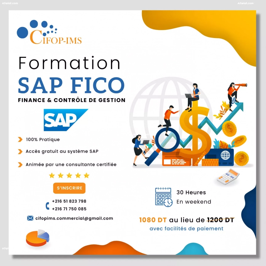 Formation SAP FICO