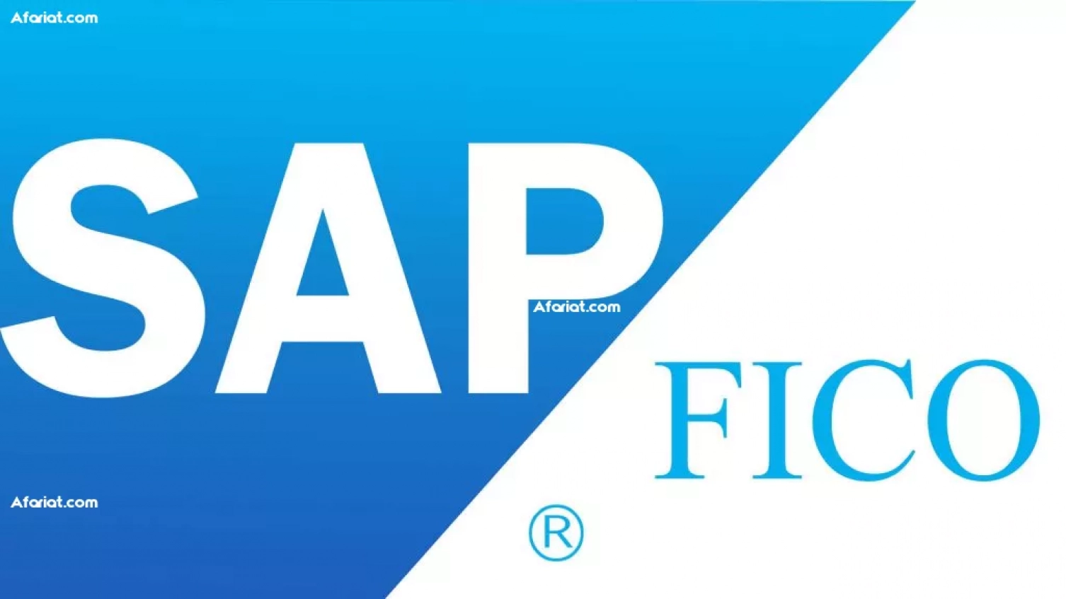 Réduction Formation SAP FICO