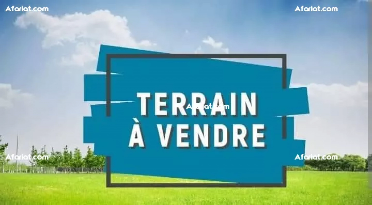 terrain a vendre