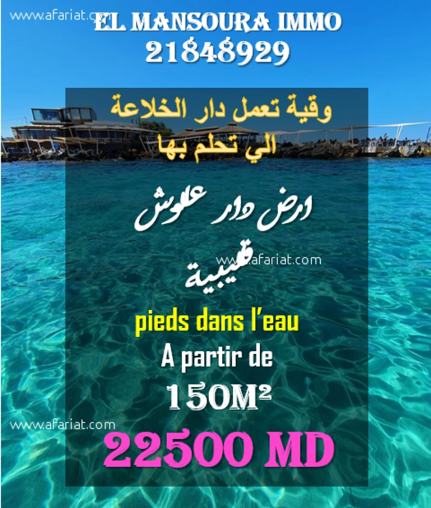lotissement situé a plage dar allouche kélibia