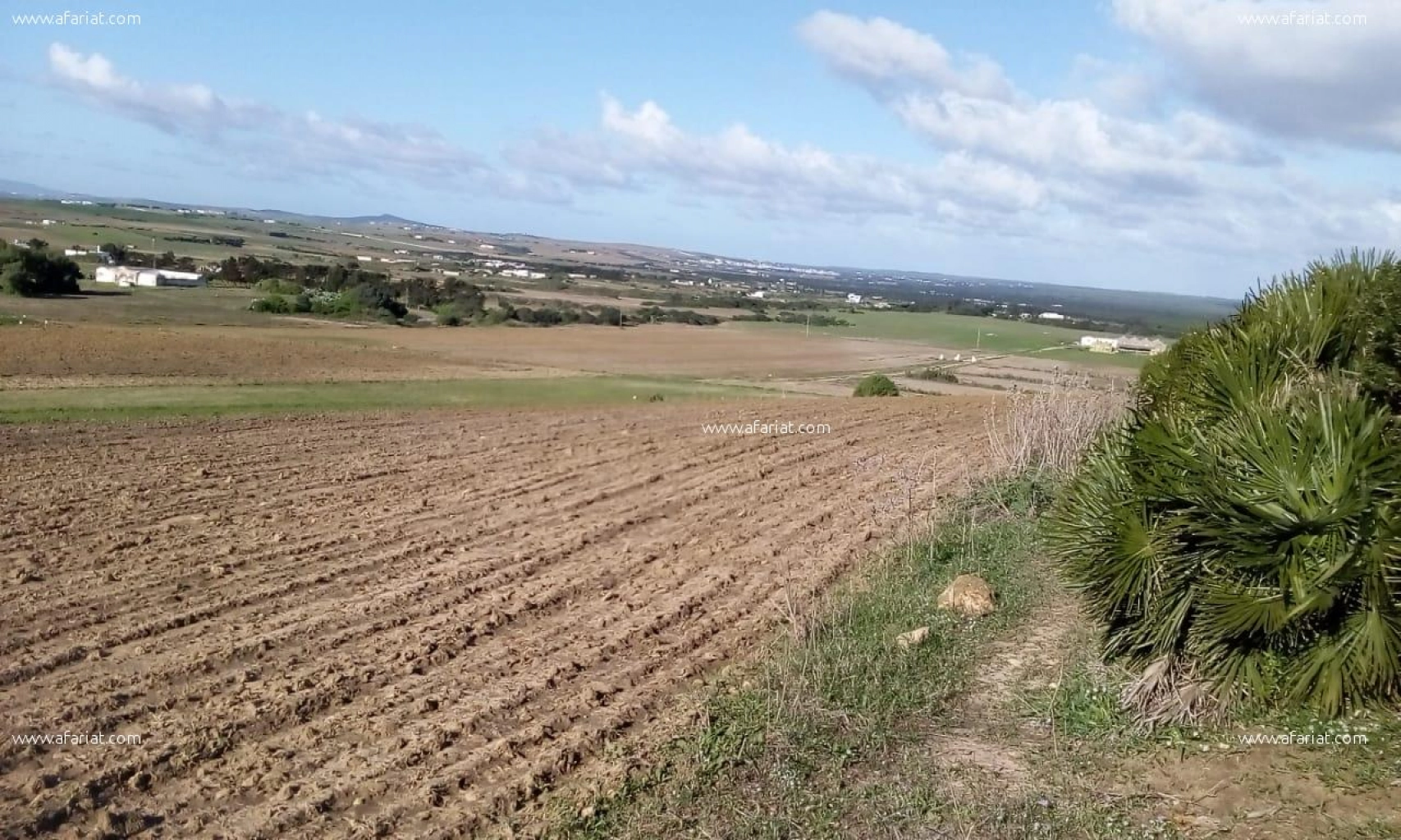 terrain à tamezrate avec prix introuvables