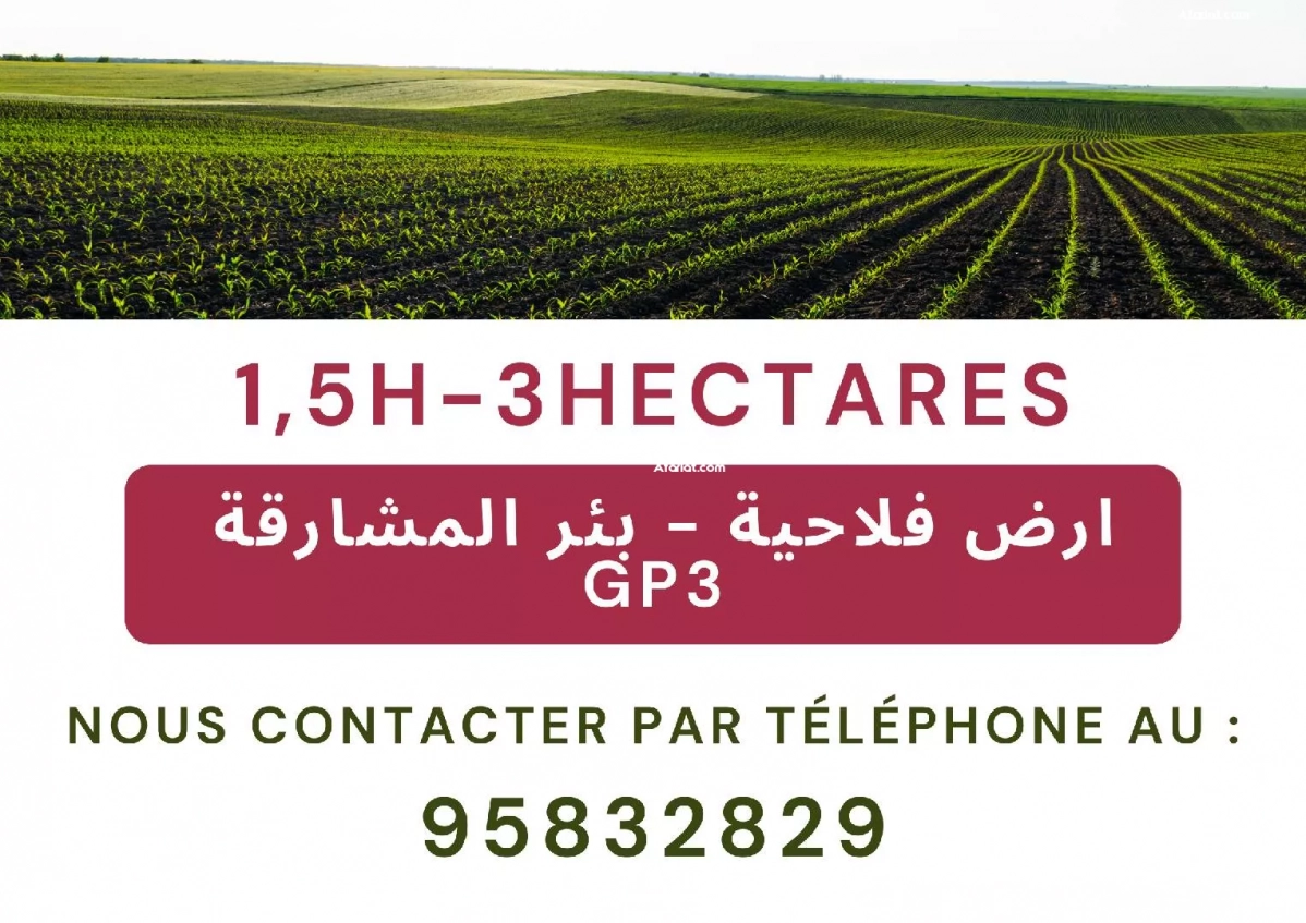 1.5 Hectares GP3