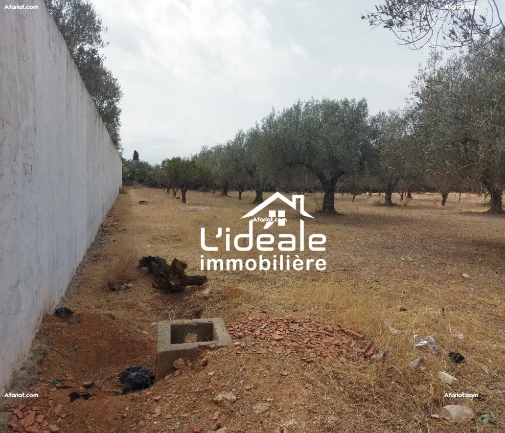 Terrain d'investissement à Hammamet