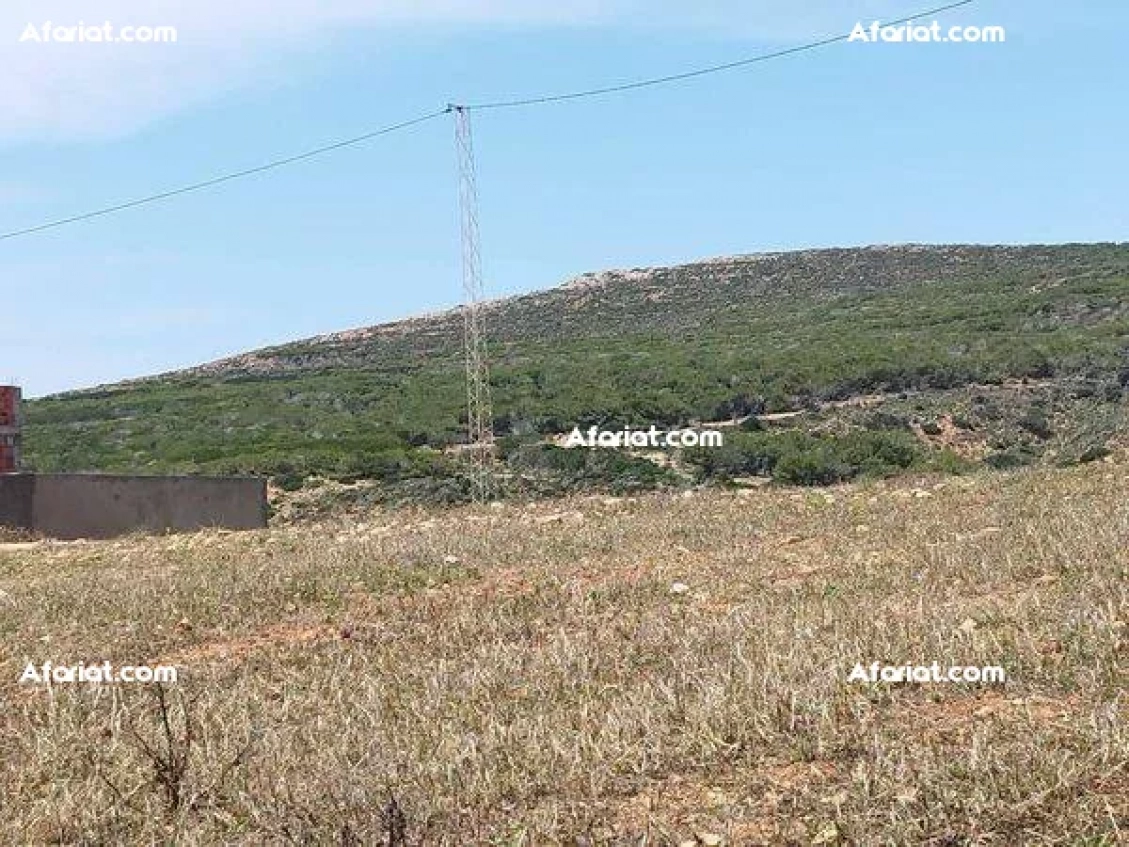 terrain avec vue panoramique a el haouaria