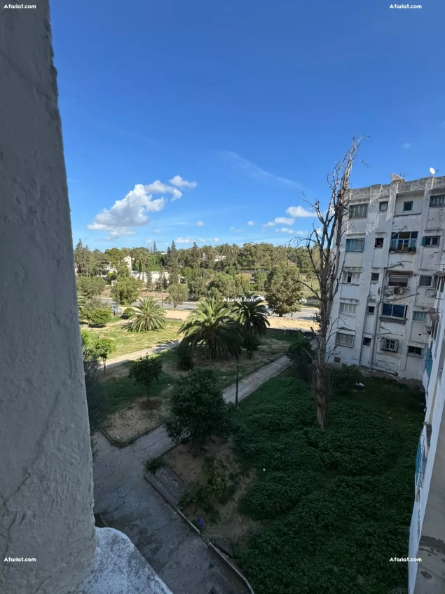 appartement a vendre