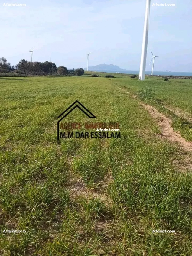 terrain près de la mer