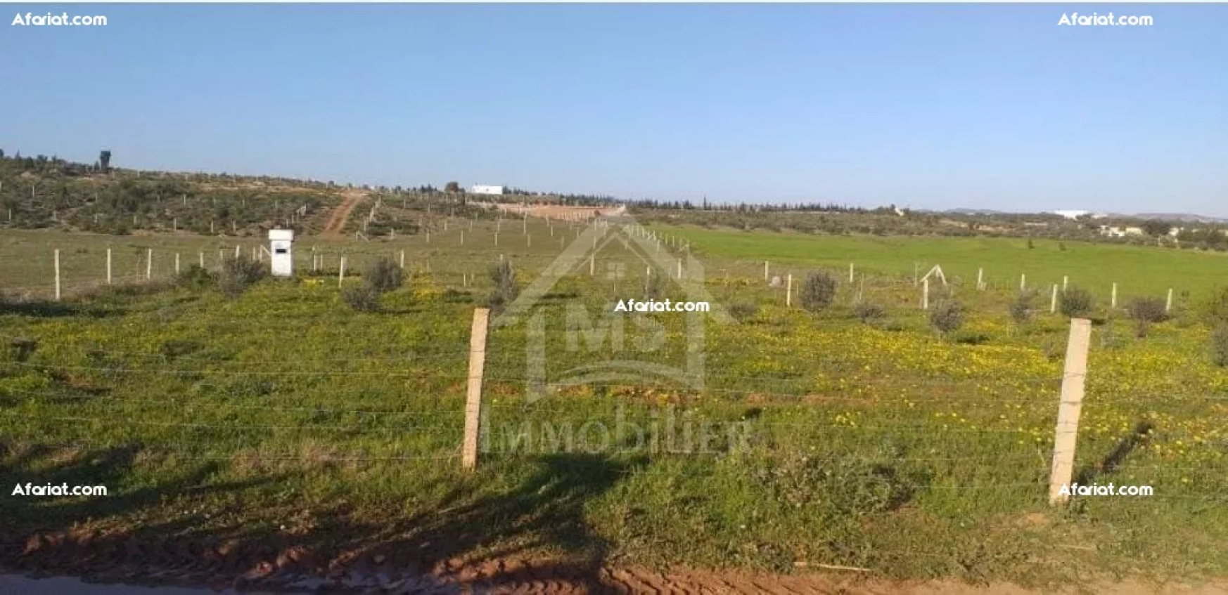 UN TERRAIN 1000M² À VENDRE À HAMMAMET SUD