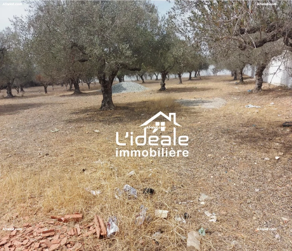 Terrain d'investissement à Hammamet