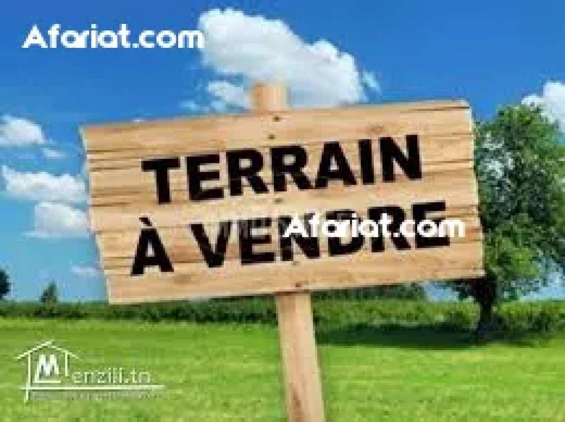 Lot de terrain