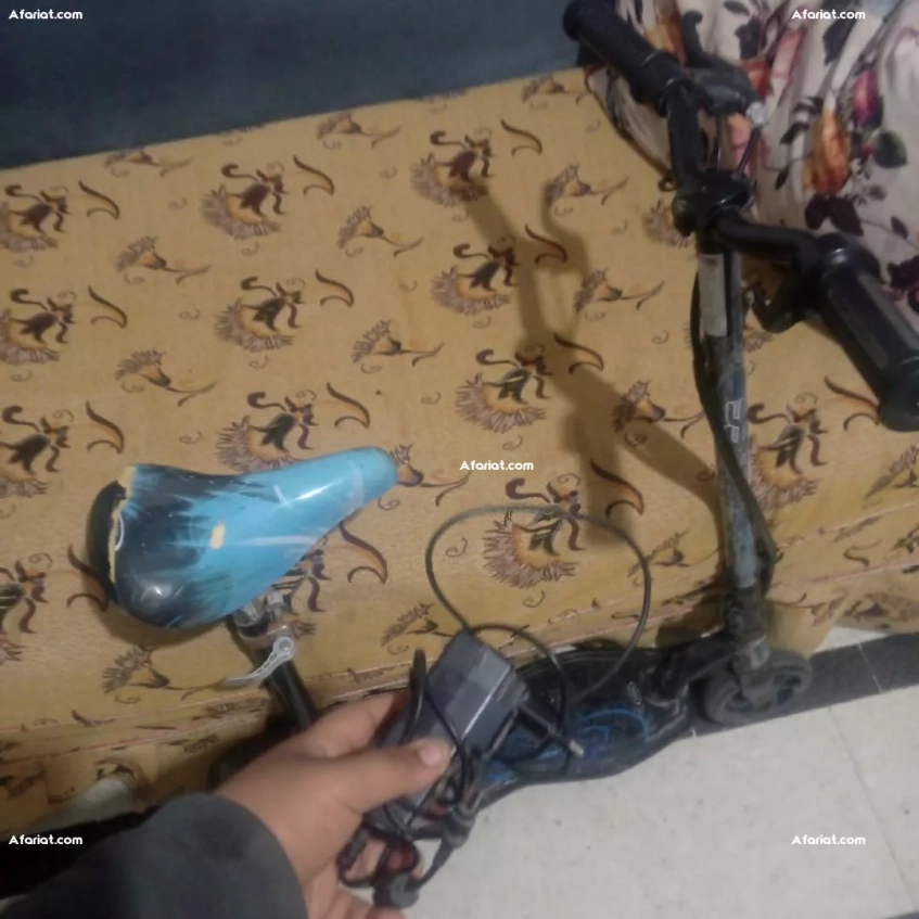 troutinette ilectric