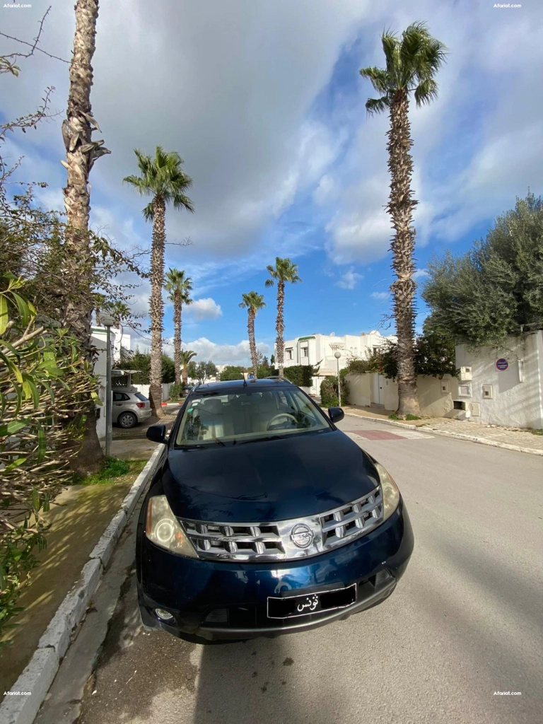 Nissan Murano 2007 3.5 L 234 CV 110 000km